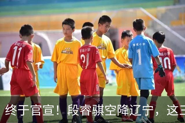 终于官宣！段睿骐空降辽宁，这三点让赵继伟接班人有了答案